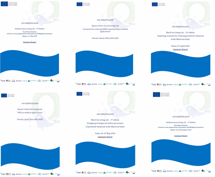 Regional Living Labs Summary Reports